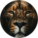 Anouar Me profile picture