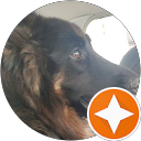 Devil Maxime59 profile picture